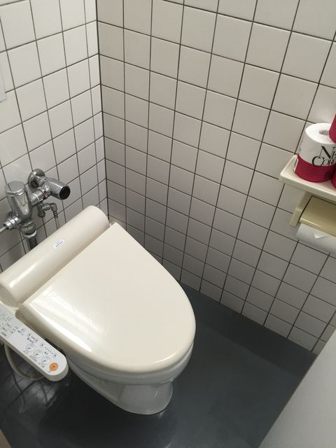 プラザマームトイレ3.JPG