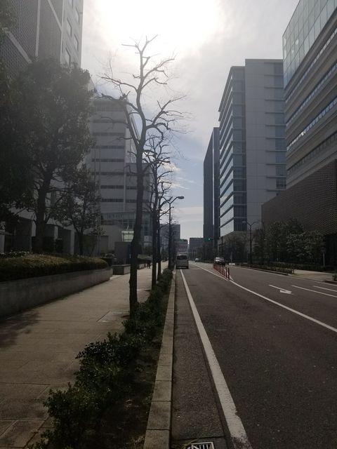 横浜メディアタワー11.JPG