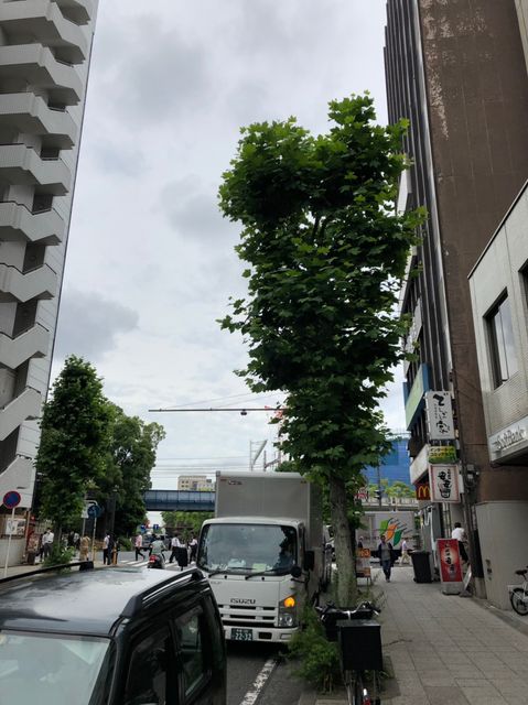 横浜東芝3.jpg