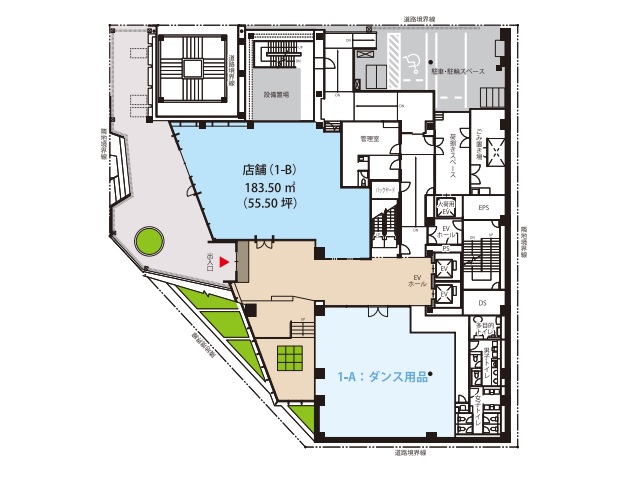 YOTSUBAKO（中川中央）1F55.50T間取り図.jpg