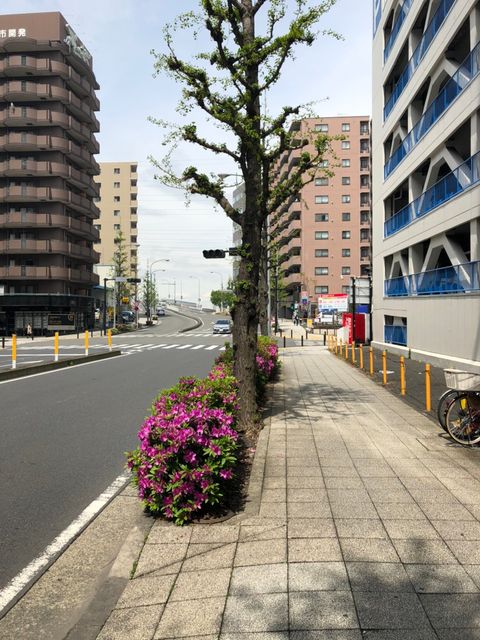 SK新横浜6.jpg