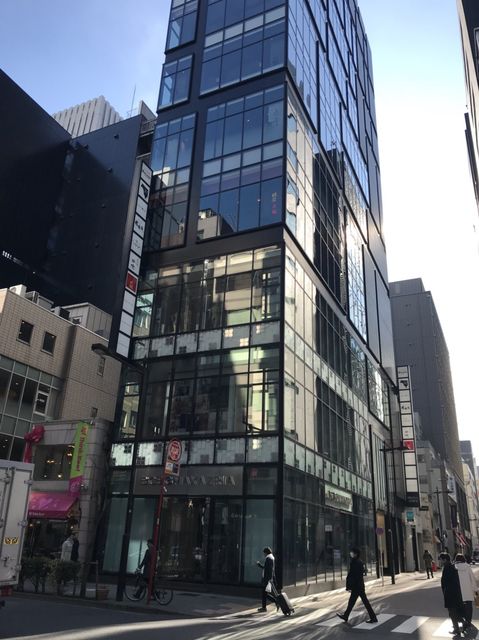 PUZZLE GINZA1.JPG