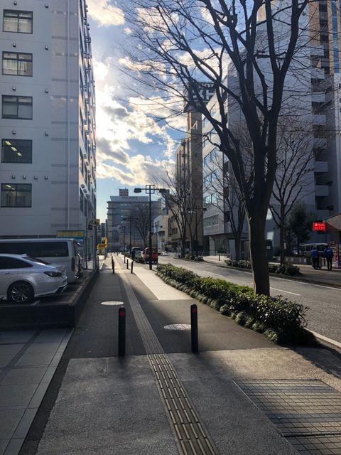 新横浜ナラ10.jpg